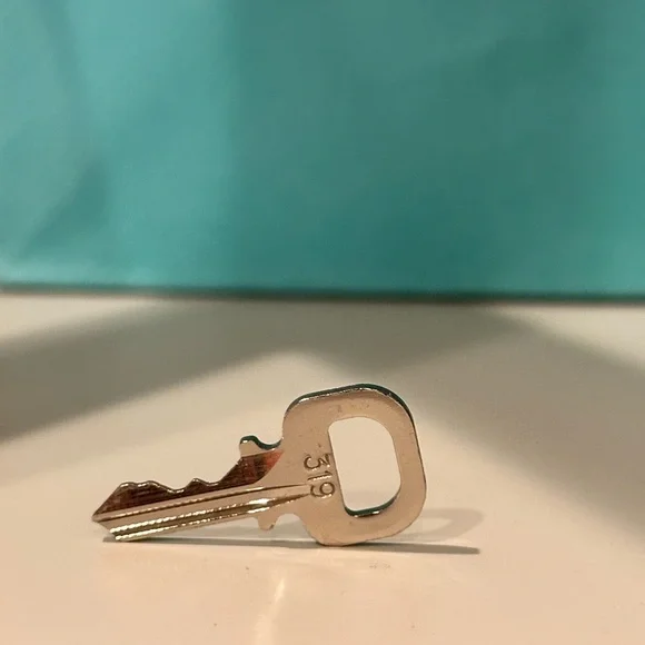 Louis Vuitton Silver Lock and Key 319 - Picture 3 of 9